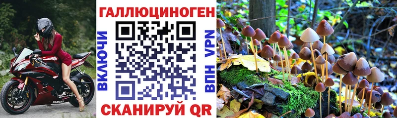 hydra маркетплейс  Емва  Галлюциногенные грибы прущие грибы 